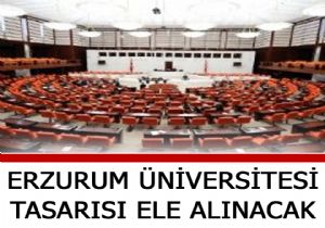 2. Üniversite TBMM Komisyonunda